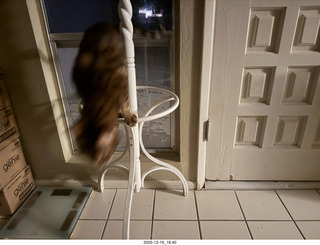 my iPhone image with top and bottom suppposedly created by my own computer1