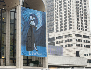 New York City - Novapetal