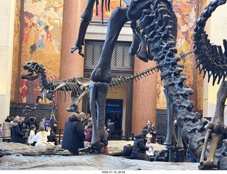 New York City - Manhattan - American Museum of Natural History - dinosaur skeletons
