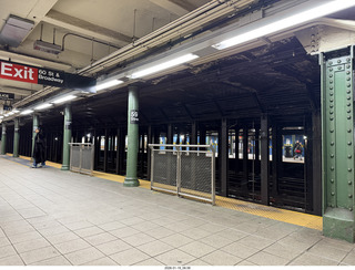New York City - Manhattan - American Museum of Natural History - dinosaur skeletons