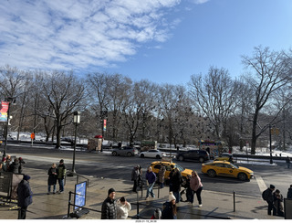 New York City - Manhattan - American Museum of Natural History - pigeons
