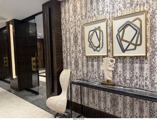 New York City - Manhattan - American Museum of Natural History - pigeons