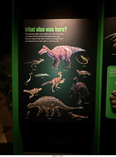 New York City - Manhattan - subway station