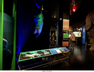 New York City - Manhattan - Empire Hotel lobby