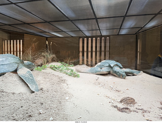 New York City - Manhattan - American Museum of Natural History - Impact, the End of the Dinosaurs