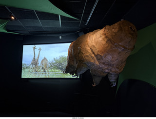 New York City - Manhattan - American Museum of Natural History