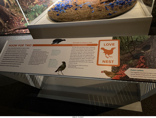 New York City - Manhattan - American Museum of Natural History