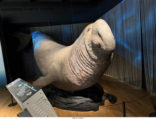 New York City - Manhattan - American Museum of Natural History