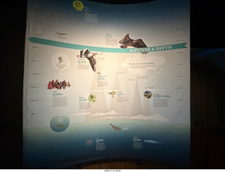 New York City - Manhattan - American Museum of Natural History