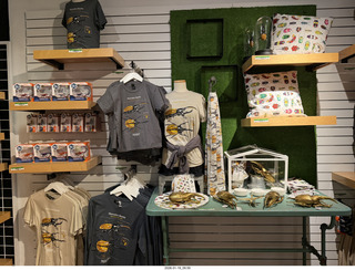 New York City - Manhattan - American Museum of Natural History