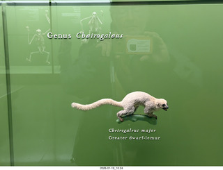 New York City - Manhattan - American Museum of Natural History