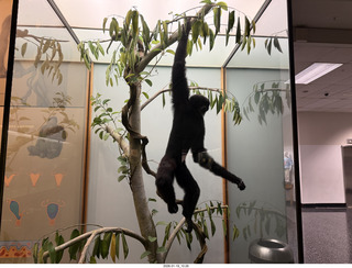 New York City - Manhattan - American Museum of Natural History