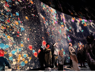 New York City - Manhattan - American Museum of Natural History  - immersive