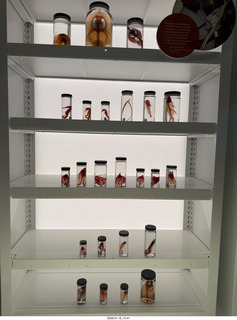 New York City - Manhattan - American Museum of Natural History