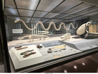 New York City - Manhattan - American Museum of Natural History