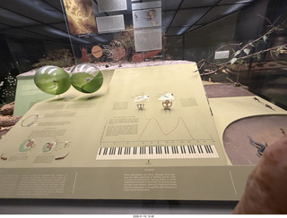 New York City - Manhattan - American Museum of Natural History