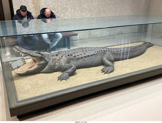 New York City - Manhattan - American Museum of Natural History