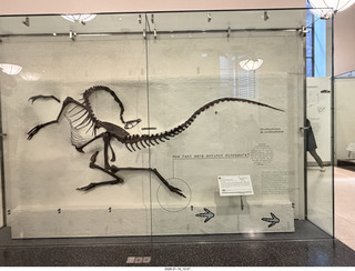 New York City - Manhattan - American Museum of Natural History