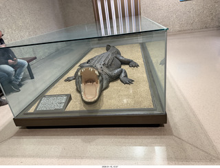 New York City - Manhattan - American Museum of Natural History