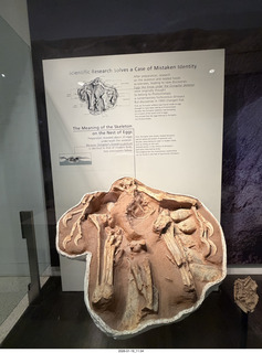 New York City - Manhattan - American Museum of Natural History