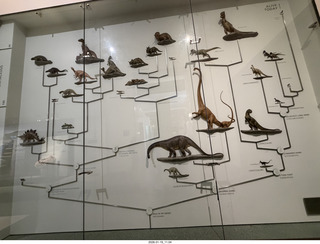 New York City - Manhattan - American Museum of Natural History