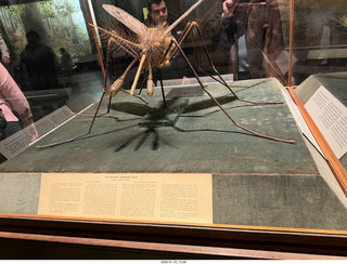 New York City - Manhattan - American Museum of Natural History