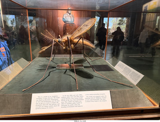 New York City - Manhattan - American Museum of Natural History