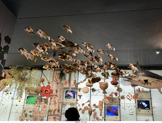 New York City - Manhattan - American Museum of Natural History