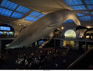 New York City - Manhattan - American Museum of Natural History