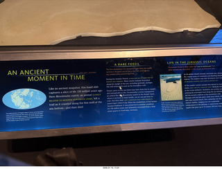 New York City - Manhattan - American Museum of Natural History