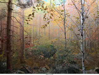 New York City - Manhattan - American Museum of Natural History