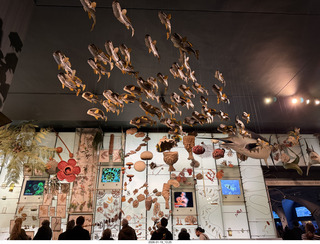 New York City - Manhattan - American Museum of Natural History