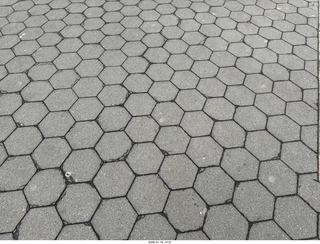 New York City - Manhattan - American Museum of Natural History