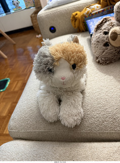 New York City - Manhattan - crosstown trip