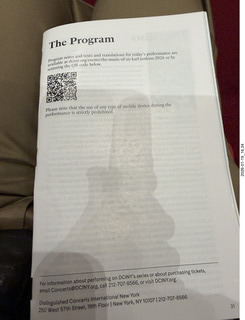 New York City - Manhattan - godson Anthony Jr. cat toy