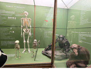 New York City - Manhattan - American Museum of Natural History