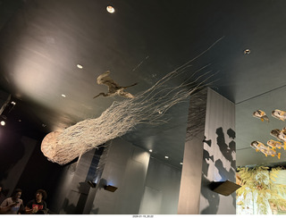 New York City - Manhattan - American Museum of Natural History