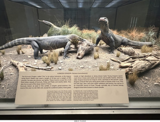 New York City - Manhattan - American Museum of Natural History