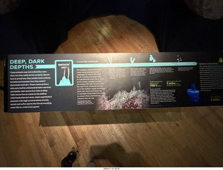 New York City - Manhattan - American Museum of Natural History