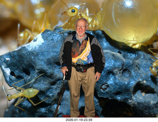 New York City - Manhattan - Carnegie Hall - Sir Karl Jenkins