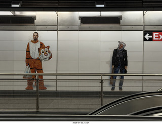 New York City - Manhattan - Museum of Modern Art (MOMA)