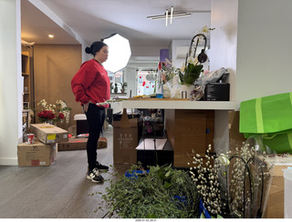 New York City - Manhattan - Novapetal NYC