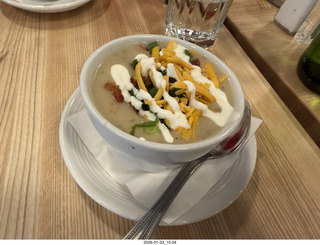 New York City - Manhattan - Novapetal NYC