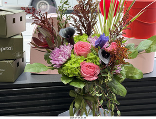 New York City - Manhattan - New York Ballet - Metropolitan Museum of Art - musical instruments