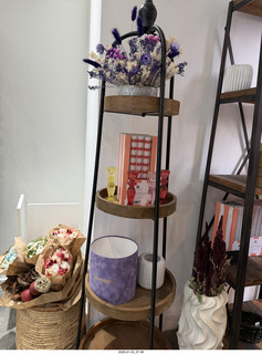 New York City - Manhattan - Novapetal