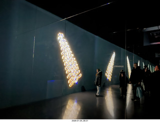 New York City - Manhattan - Novapetal