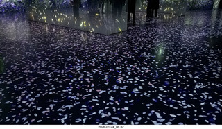 New York City - Manhattan - Novapetal ambulance parked outside