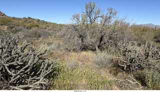 Scottsdale - Granite Mountain Hike