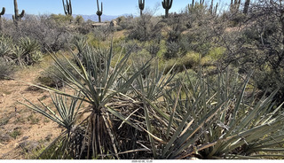 Scottsdale - Granite Mountain Hike - Adam