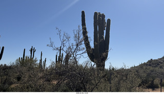 Scottsdale - Granite Mountain Hike